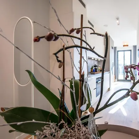 Sonnenschein Im Ostseebad Apartament