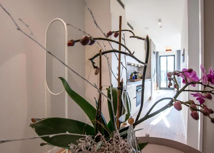 Sonnenschein Im Ostseebad Apartmán